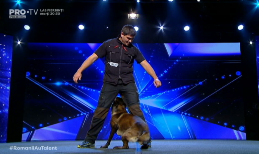 Un ciobănesc belgian a făcut senzație pe scena emisiunii ”Românii au talent”. VIDEO