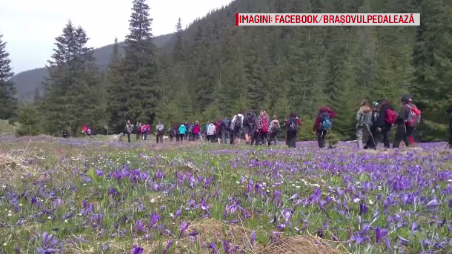 Zi splendidă pentru plimbări la munte. Iubitorii de natură au plecat cu ghizi în Făgăraș