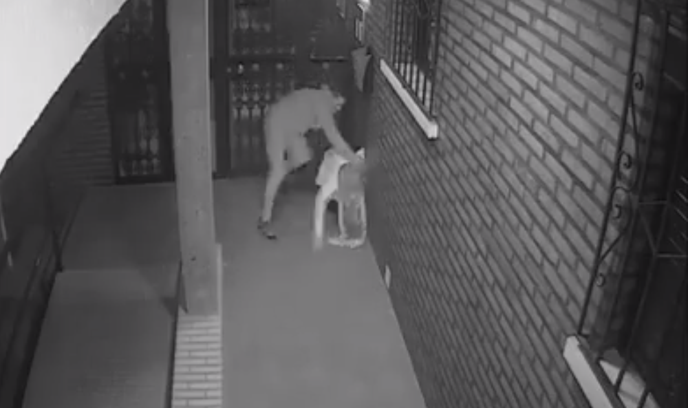 Trecutul terifiant al românului care a îngrozit Spania după ce a atacat o femeie