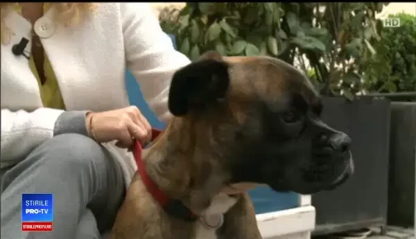 Trucul prin care puteți accesa Facebook sau WhatsApp în țările unde sunt interzise