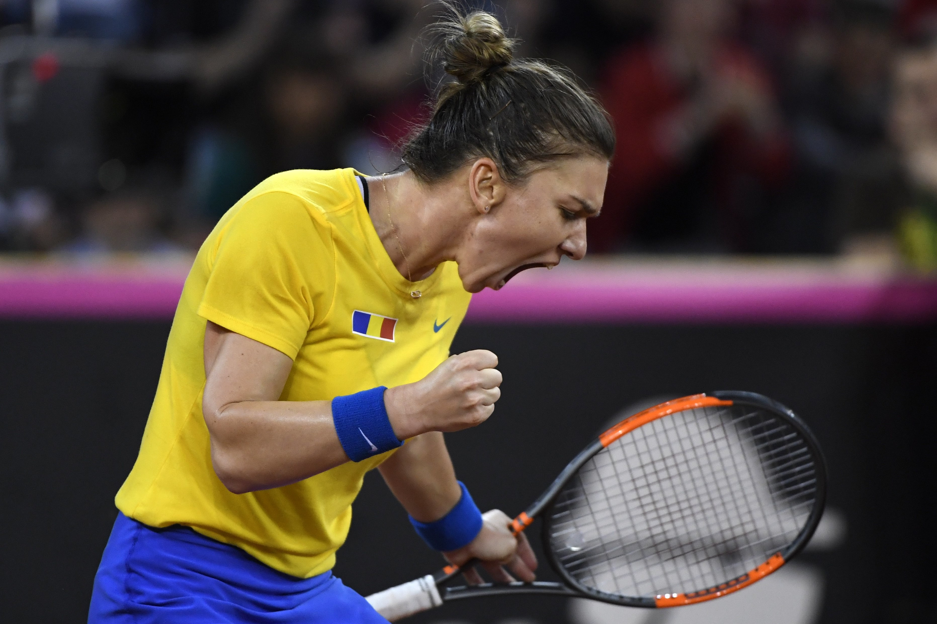 România s-a calificat în Grupa Mondială la Fed Cup. Schnyder: Am simțit că joc împotriva numărului 1 mondial