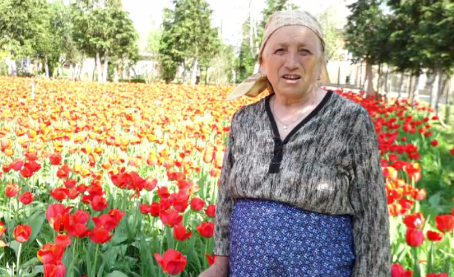 O bunică din Maramureș a adunat mii de lalele în gospodăria ei. ”Am vrut o mică Olanda”