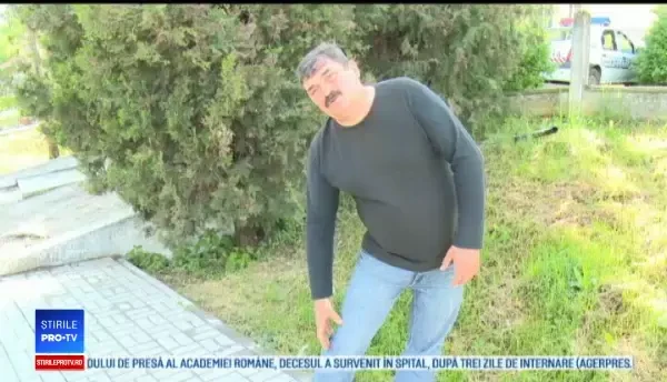 Cai răniți de mașini de teren care participau la o cursă, în Bihor. Filmul incidentului macabru