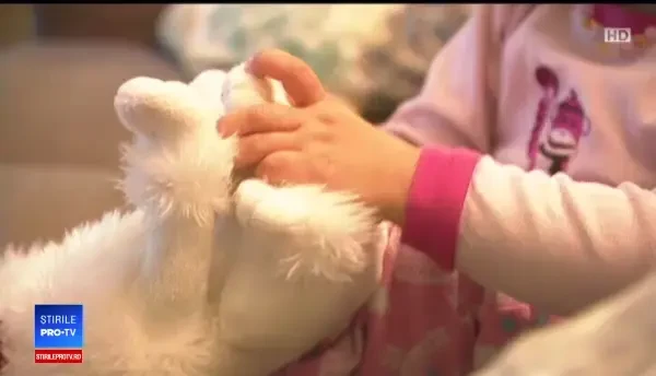 Copiii fără cod numeric personal ar putea beneficia de servicii medicale complete. Ce ar trebui să facă medicii