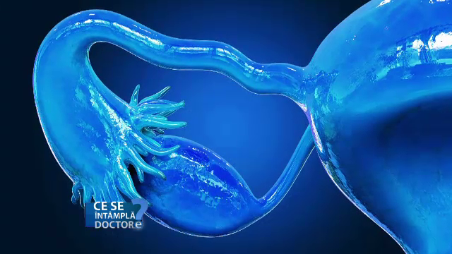 Cum sunt afectate de stres femeile care își doresc un copil