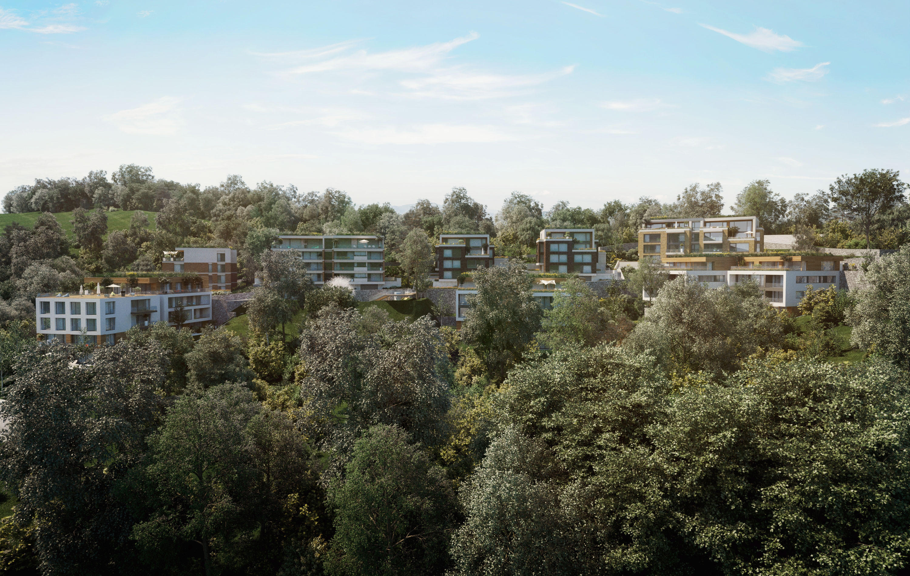 (P) Arhitecţii-dezvoltatori REDESIGN lansează STEJERIŞ - proiect rezidenţial exclusivist în Braşov