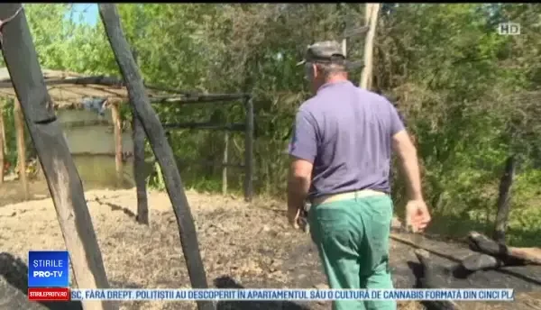 O reacţie aprinsă l-a trimis după gratii pe un bărbat de 45 de ani din Gorj. Ce le-a făcut vecinilor