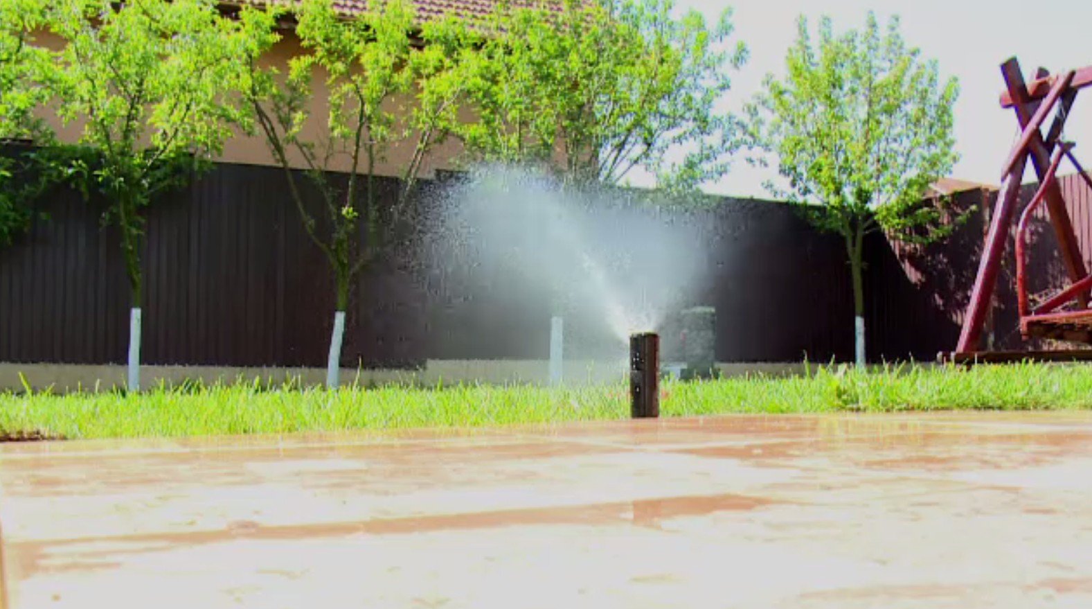 Plante spectaculoase și sisteme de irigații performante, prezente în grădinile românilor