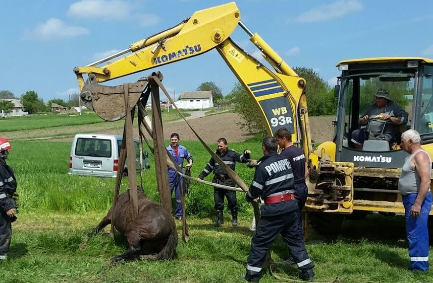 Cal scos cu buldoexcavatorul după ce a căzut într-un pârâu. VIDEO