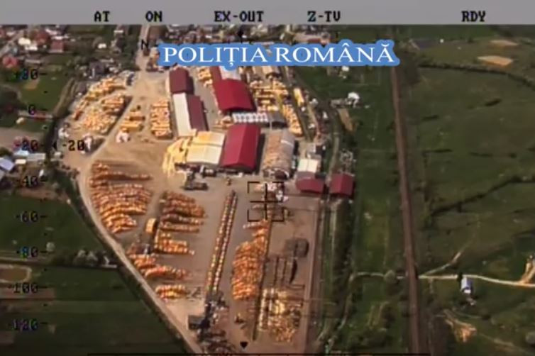 Operaţiune în Parcul Naţional Călimani: 900 de mc de lemn, confiscați şi amenzi uriaşe