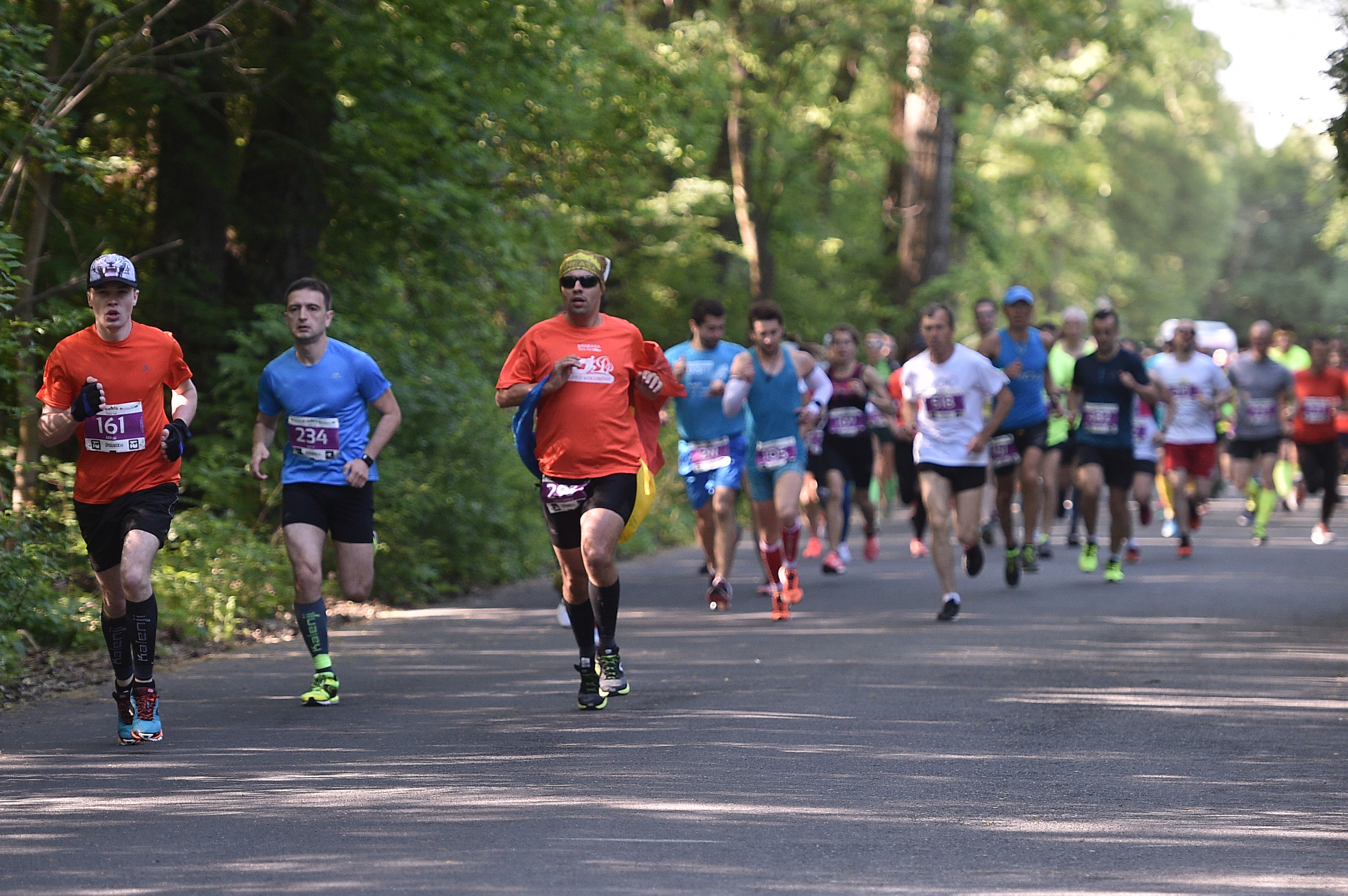 Semimaratonul și crosul Băneasa Forest Run