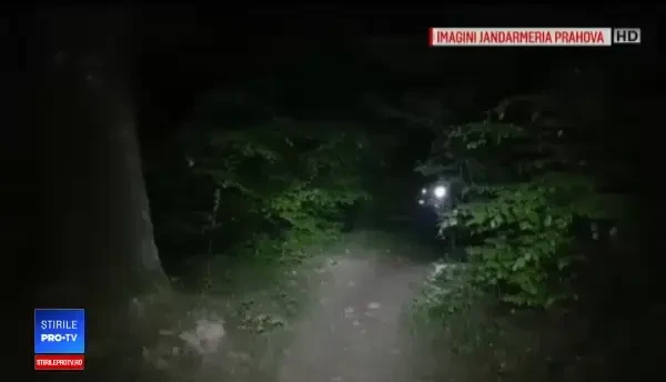 Doi turiști s-au întâlnit cu ursul, în Bușteni. Au scăpat cățărându-se într-un brad