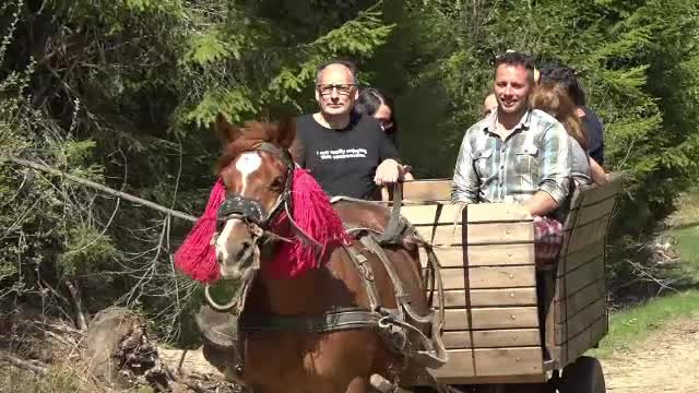 Turiștii străini, încântați de Bucovina: "Este magic, este intr-adevăr magnific aici"