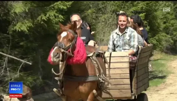 Turiștii străini, încântați de Bucovina: Este magic, este intr-adevăr magnific aici