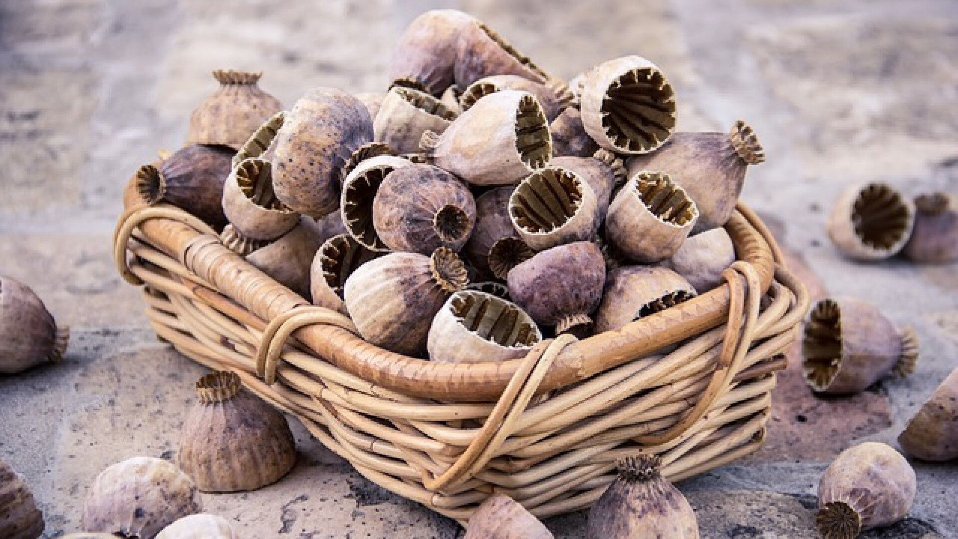 Nouă traficanți de droguri au fost spânzurați în Iran. Țara e principala rută de droguri către Europa