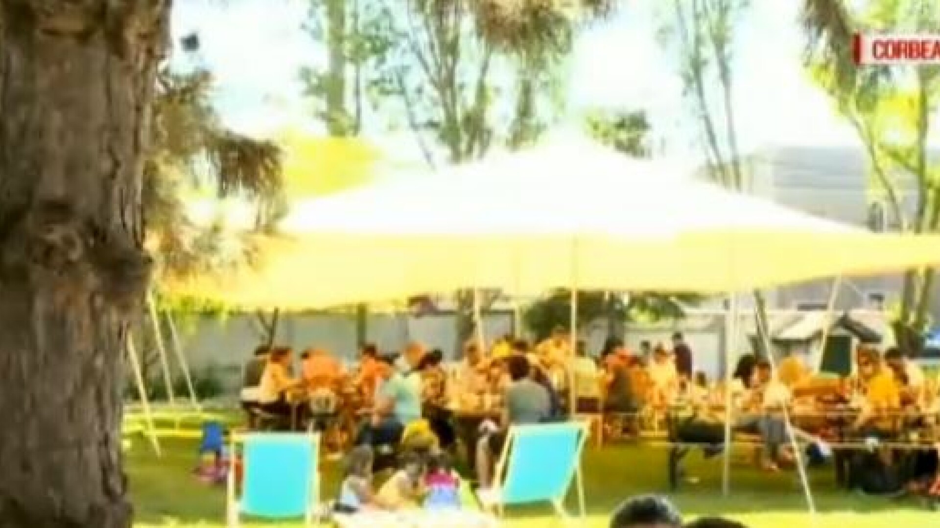 Petrecere cu grătare în Corbeanca și Cernica de 1 Mai