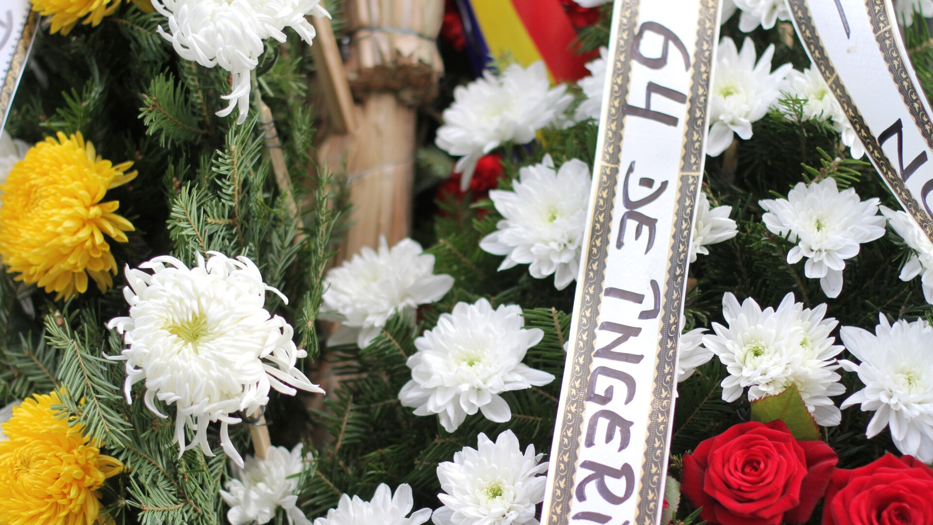 Durerea unei mame, al cărei copil a murit în urma rănilor din Colectiv: Doamne, mă auzi, oare?