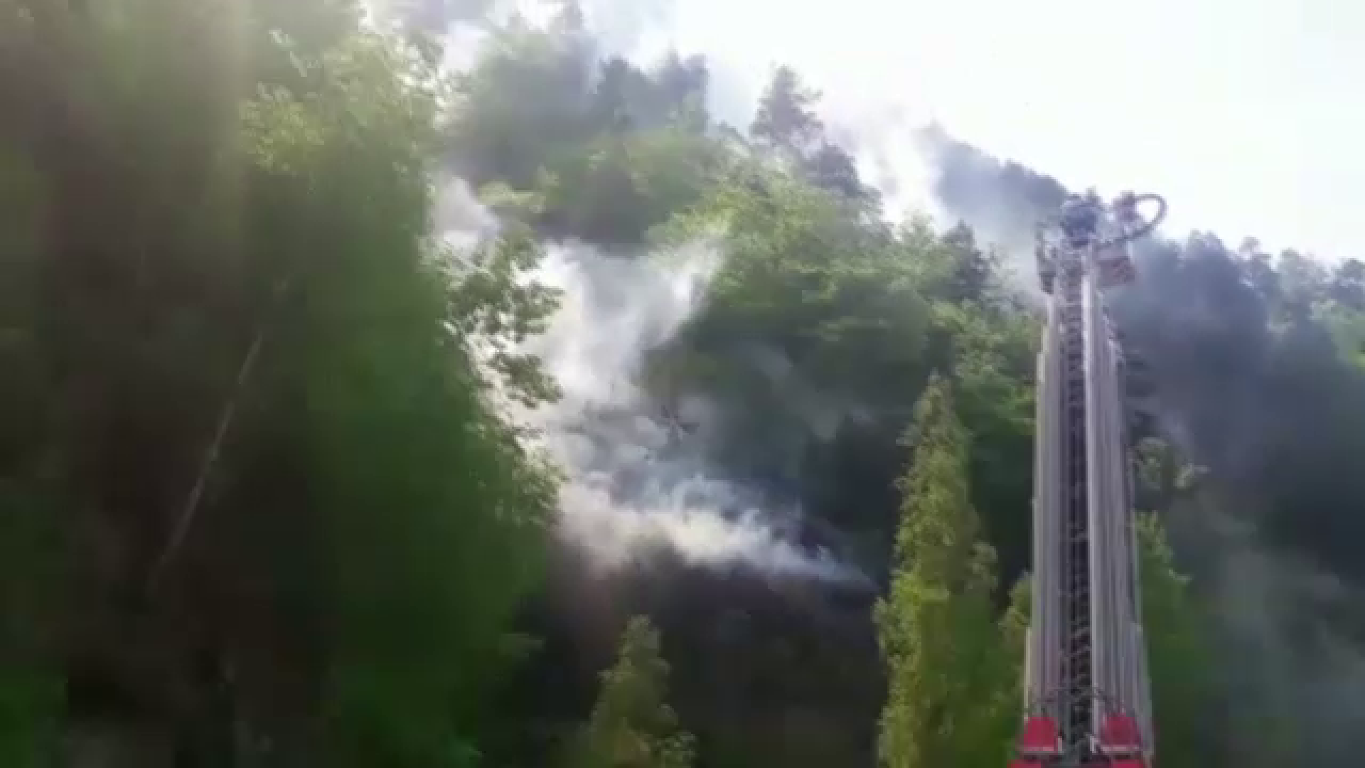 Nou incendiu de vegetație, în apropierea cetății Poenari. În zonă sunt mulți turiști