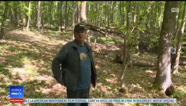 Sfârșit tragic pentru un bistrițean, după ce tractorul pe care îl conducea s-a răsturnat