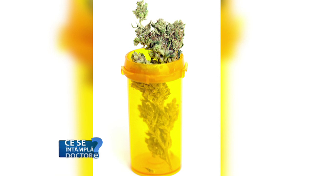 Unul din cinci tineri din România a consumat cel puțin o dată droguri. Avertismentul medicilor