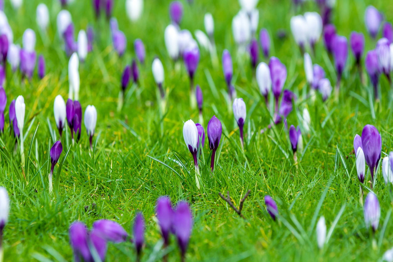 Vremea, 3 martie 2019. Temperaturile încep să crească. Prognoza pe 3 zile