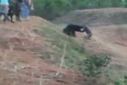 Momentul șocant în care un bărbat a fost ucis de ursul cu care a vrut să-și facă un selfie. VIDEO