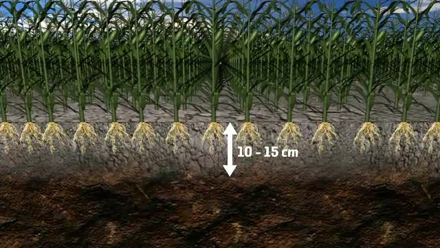 România, lovită de cea mai gravă secetă din ultimii 50 de ani. Vom plăti un preț greu