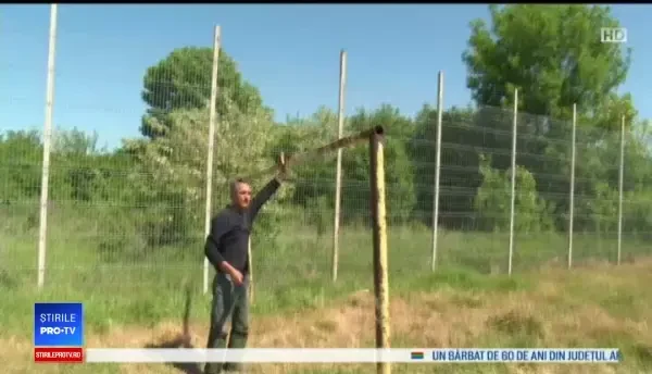 Anchetă după ce o poartă metalică a căzut peste un elev de 12 ani aflat în pauză