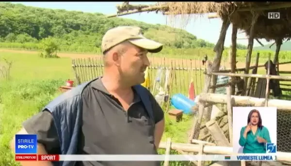 Masacru la un adăpost de animale, în apropiere de Oradea