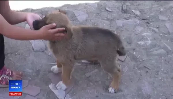 O fetiţă de doi ani a murit electrocutata sub ochii tatălui ei. Mama a leşinat când a văzut-o