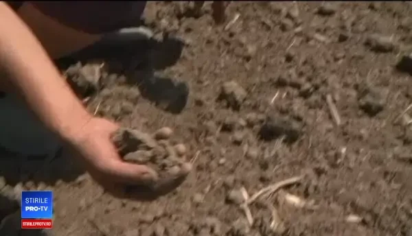 România, lovită de cea mai gravă secetă din ultimii 50 de ani. Ultima speranță: ”ne rugăm la Dumnezeu”