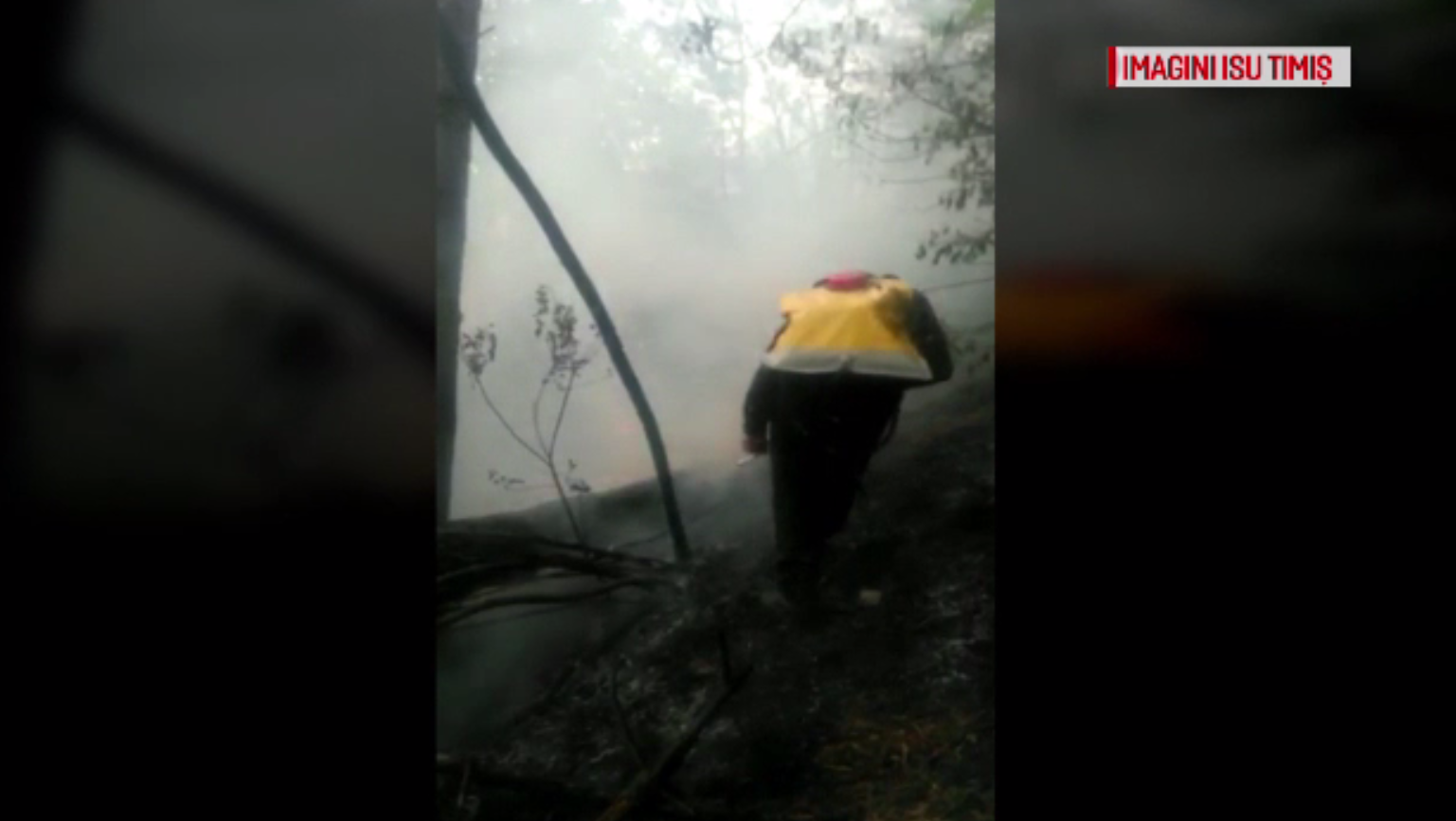 Incendiul din Parcul Naţional Domogled s-a extins. Pompieri din 4 județe acționează la fața locului