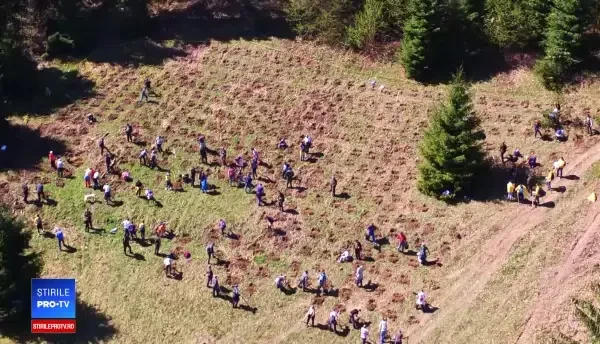 (P) România e mai răcoroasă cu 50.000 de brazi