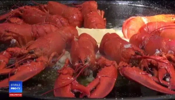 Racii, vedetele unui festival culinar din Brăila. Consumul fructelor de mare a crescut