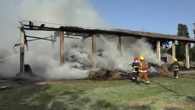 Incendiu de amploare la Centrul de armăsari din Târgu Mureș. Caii au rămas fără hrana pe 3 luni
