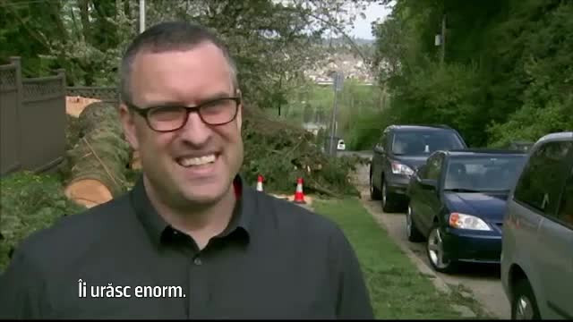 Un canadian terorizat de păuni "şi-a făcut dreptate" cu drujba. Reacţia vecinilor