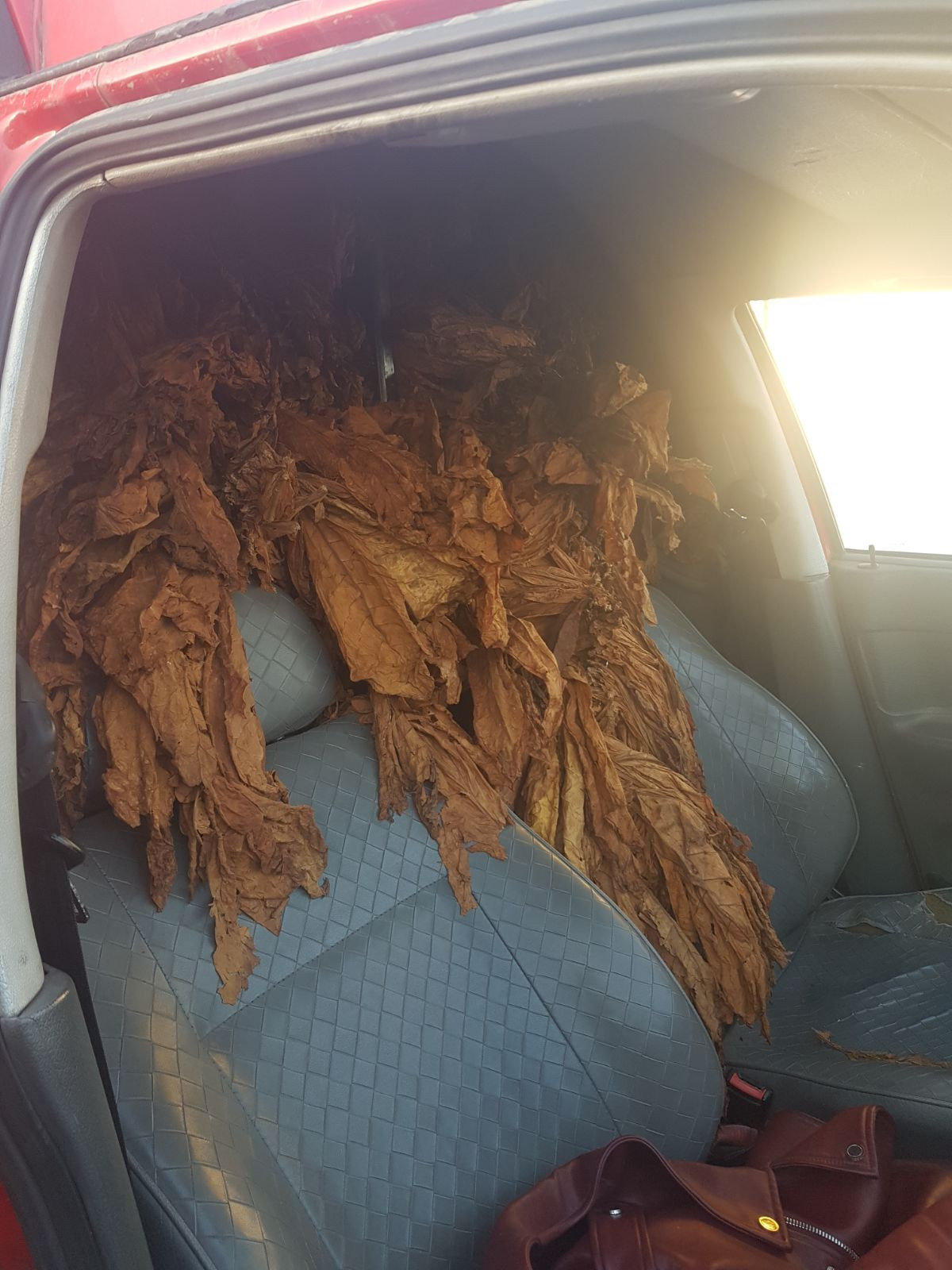 Maşină plină ochi cu tutun, oprită de poliţie pe Centura Capitalei