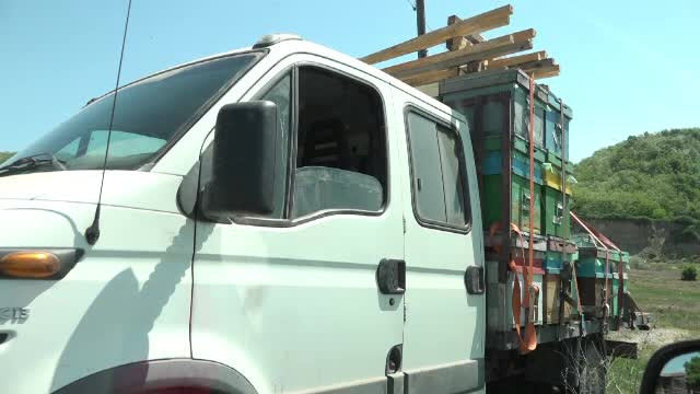 Doi apicultori din Buzău au murit, după ce au fost înțepați de albine