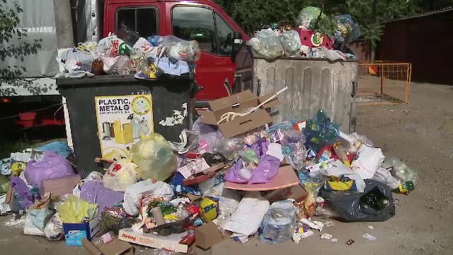 Aradul zace sub munți de gunoaie, de aproape două săptămâni: „E plin de şobolani"