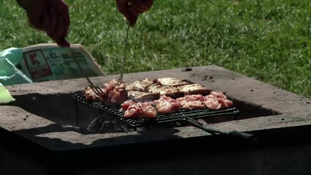 Românii profită de vremea bună și au dat startul grătarelor în natură. ”Dacă Dragnea dă micul, noi dăm cârnatul"