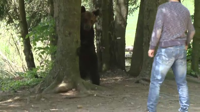 Un pui de urs a venit printre turişti, pe malul Lacului Sfânta Ana. Reacţia oamenilor