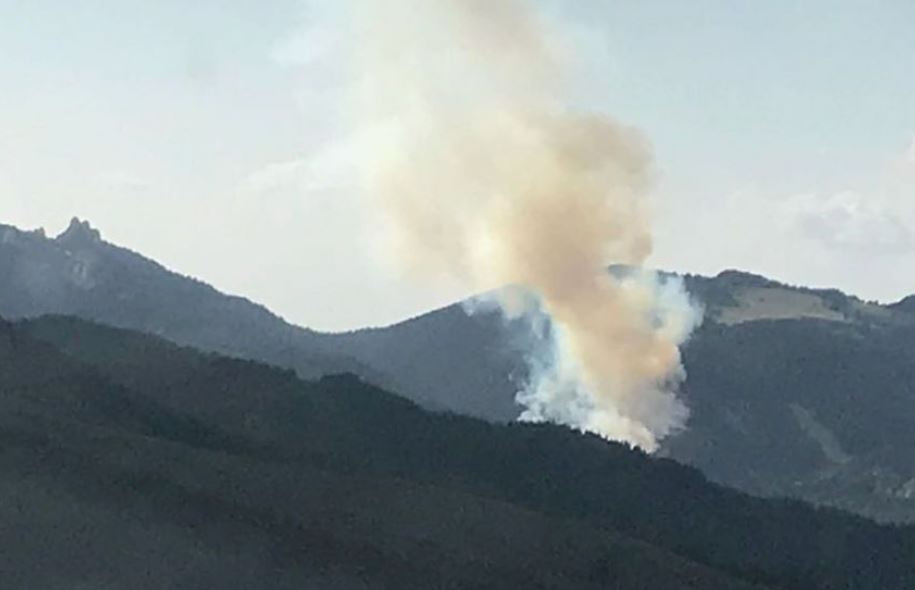 Incendiu în Masivul Ciucaş, la graniţa cu judeţul Prahova