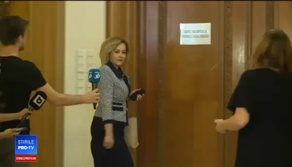 Carmen Dan, despre clasarea dosarului Microfonul: Mi s-a părut o anchetă serioasă