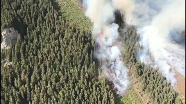 Cinci hectare de vegetație au ars mocnit, luni, în zona Munților Ciucaș