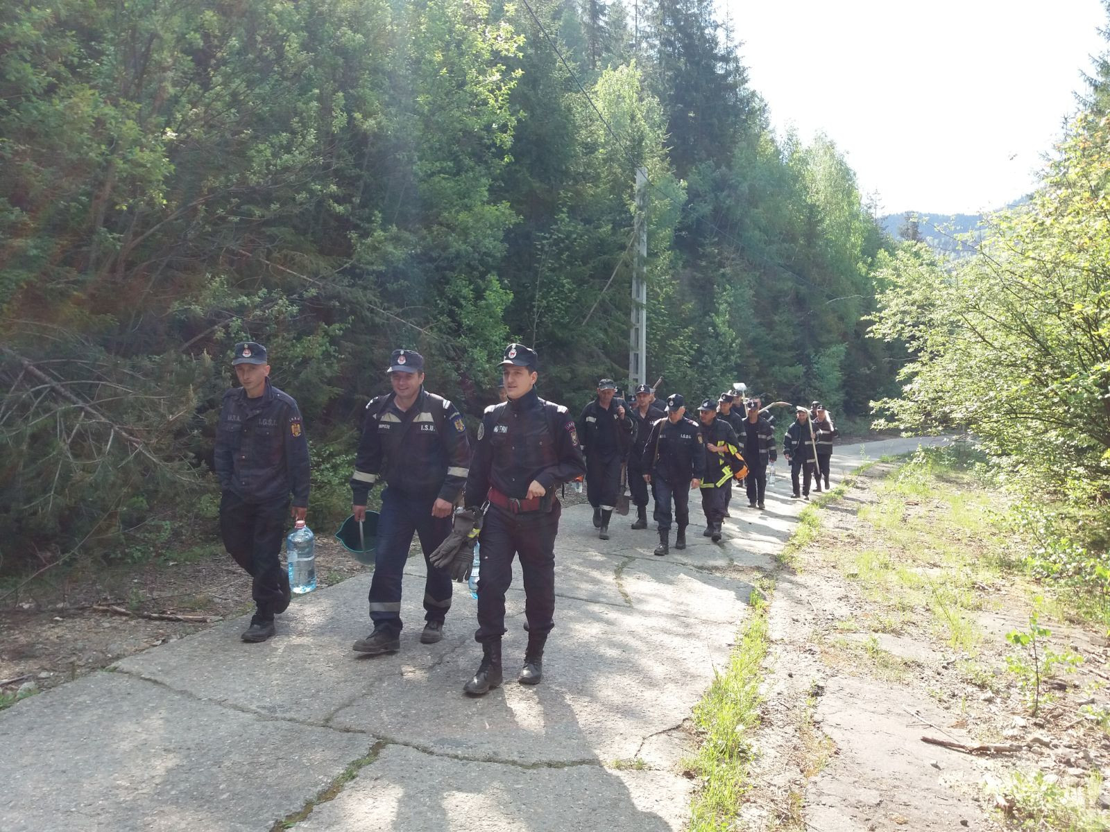 incendiu de vegetatie