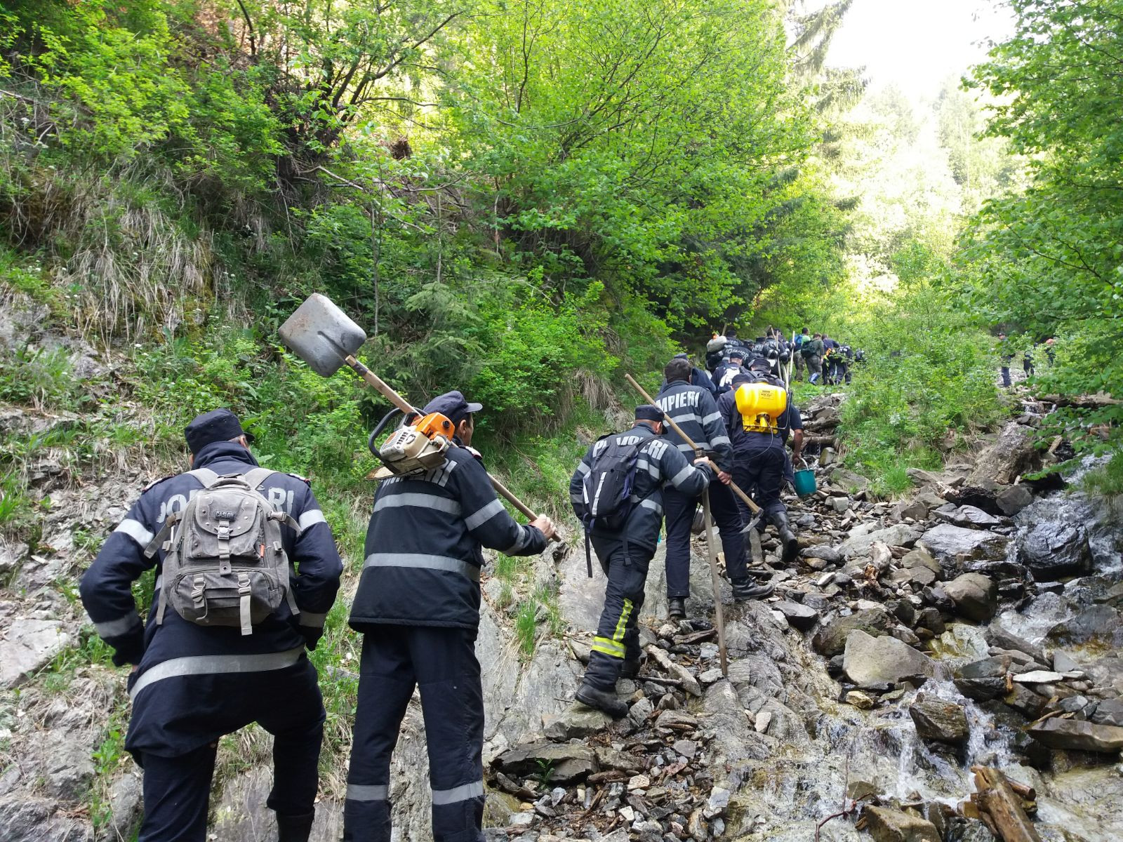 incendiu de vegetatie