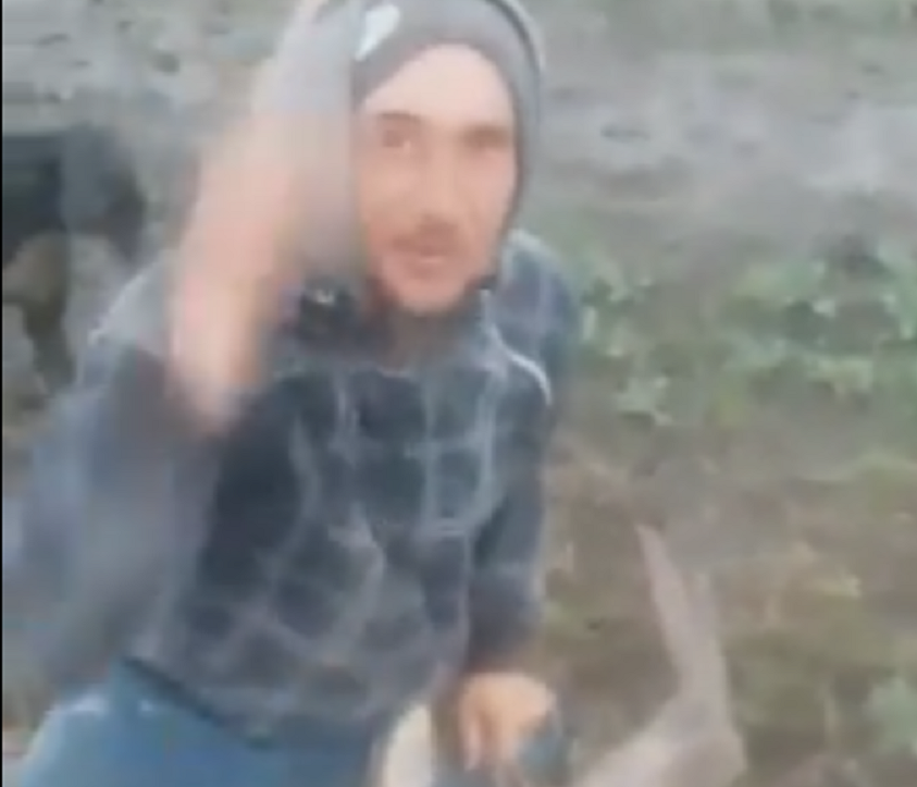 Anchetă în Argeş, după ce un bărbat s-a filmat ucigând o căprioară cu mâinile goale