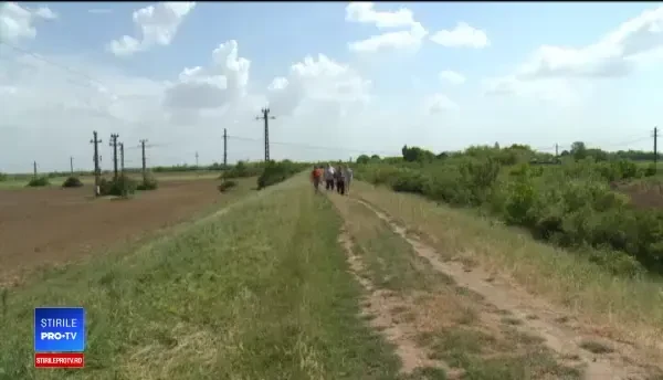 Criză de culegători de căpșuni în plin sezon. Salariul unui muncitor în străinătate