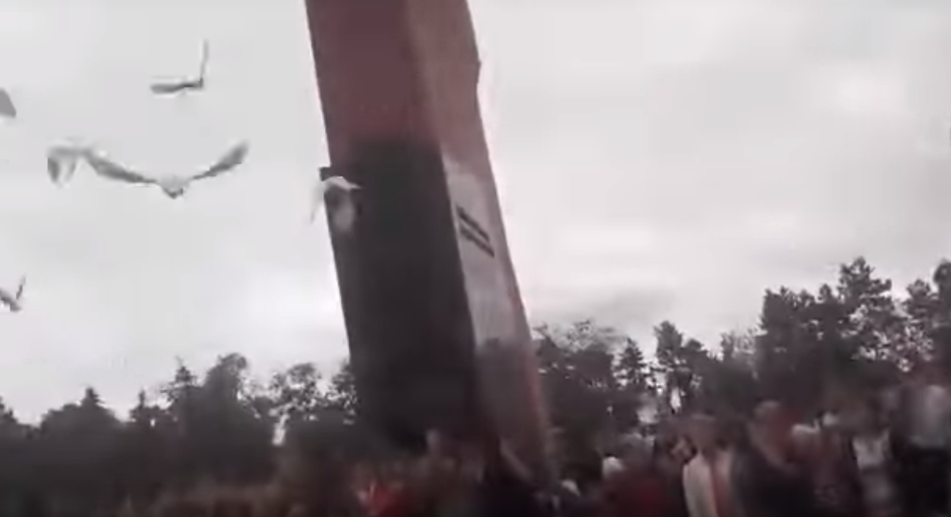 Preşedintele Moldovei, atacat de porumbei. "Important e să fim alături de oameni"