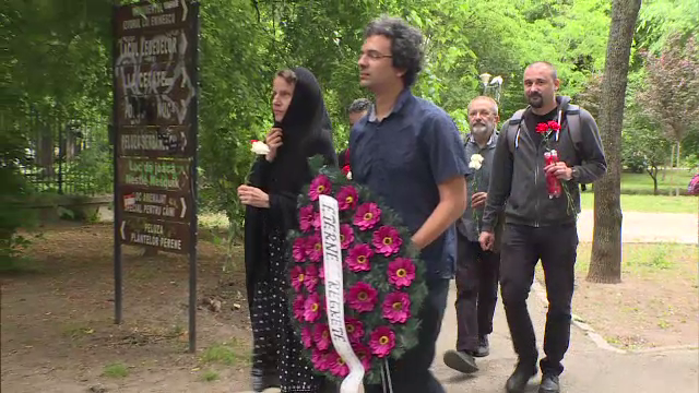 Protest cu flori și lumânări la CNCD, după amendarea președintelui Iohannis